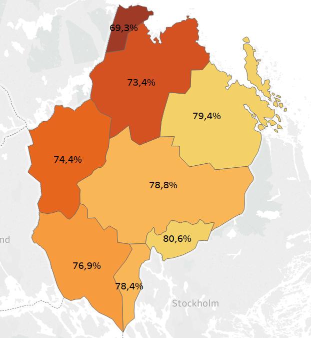 Hur ser du på framtiden för din