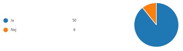 55 föreningar (56 svar) 11 mot 11 (14 år) Har ni vid