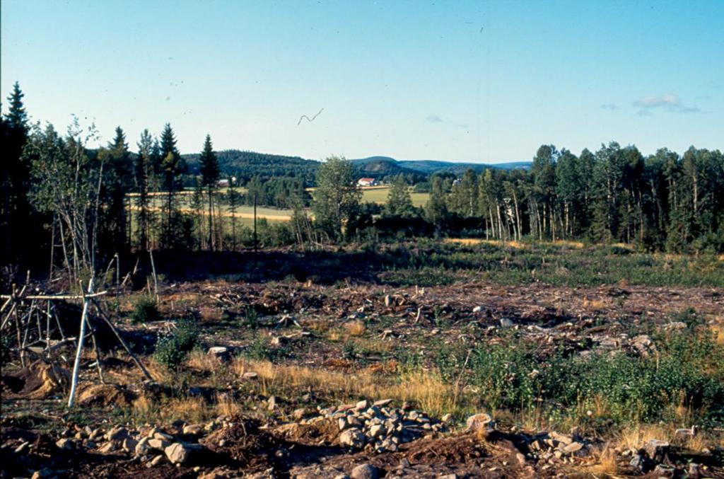 BAKGRUND OCH FÖRUTSÄTTNINGAR Med anledning av byggandet av ny sträckning av E4 har Länsmuseet Västernorrland fått i uppdrag att genomföra en arkeologisk slutundersökning av fornlämning Raä 293 i Nora