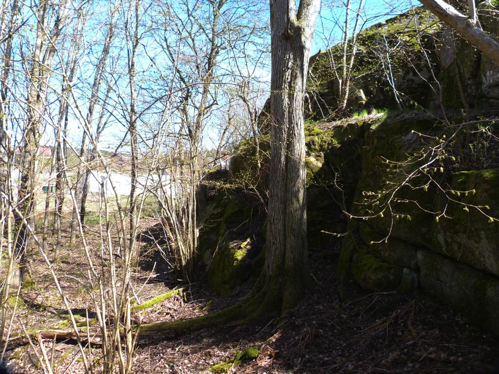 Redovisning av naturvärdesobjekt Objekt 1 Naturvärdesbedömning: Påtagligt naturvärde naturvärdesklass 3 Dominerande naturtyp: Skog och träd Biotoper: Ädellövskog och klippbrant Natura 2000 naturtyp: