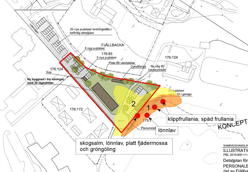 Figur 1. Inventeringsområdet vid Fjällbacka 176:124 är markerat med röd linje. Naturvärdesobjekt 1 och 2 är markerade med orange och gul polygoner.