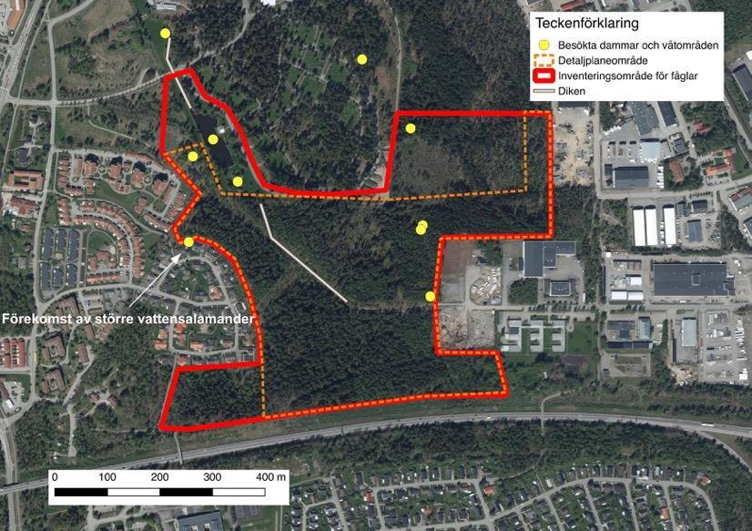2017-05-08 5(10) Figur 1. Inventerade områden kring detaljplanelagt område i Hovshaga. Notera hänvisning för känd förekomst av större vattensalamander.