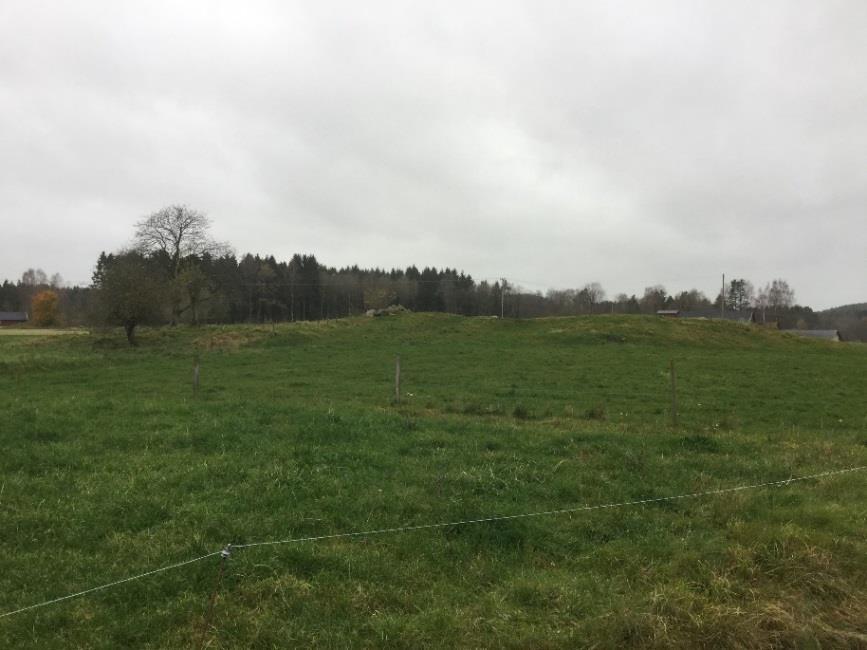 Inga betesmarker har några utmärkande naturvärden och få naturvårdsarter hittades.
