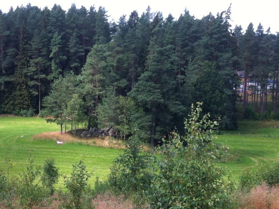 Naturvärdesobjekt FAGR_YT_04 Biotopvärden: Åkerholme, generellt biotopskydd. Beskrivning: Åkerholme med en hel del större stenblock.