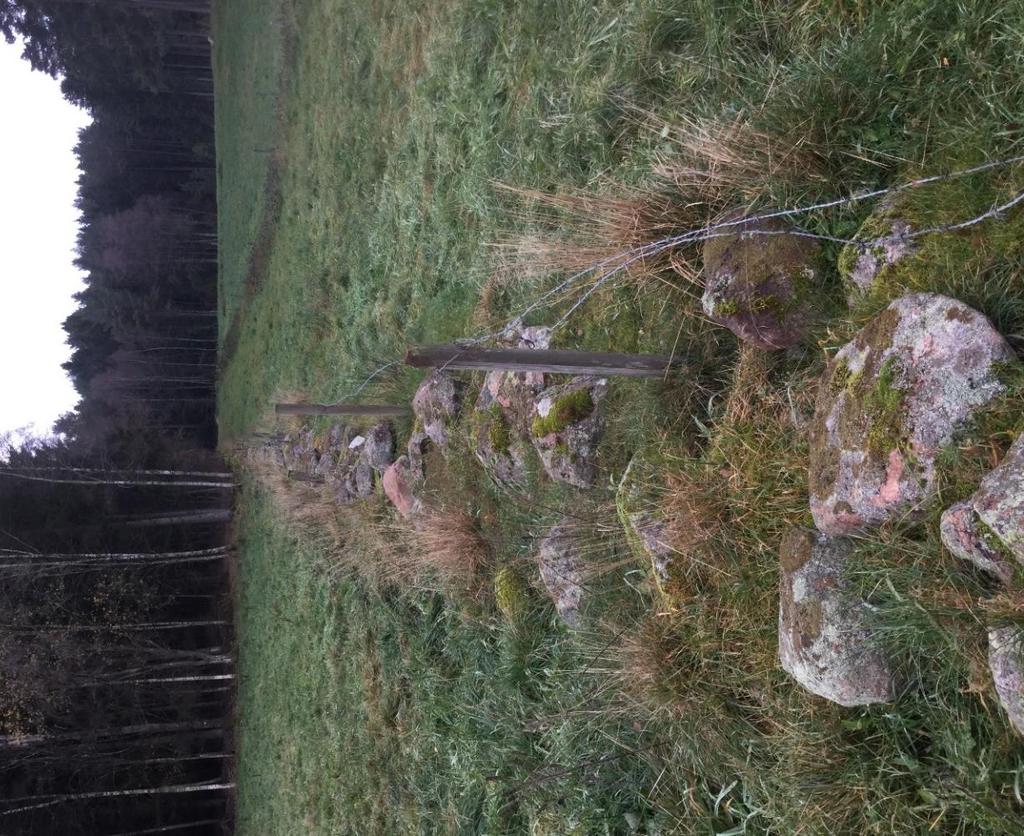 Naturvärdesobjekt FAGR_LINJ_01 Biotopvärden: Stenrad (skydd + värme för fauna) Beskrivning: Stenmur utan egentliga naturvärden. Biotopskydd. Naturvårdsarter: Inga naturvårdsarter noterades. Figur 17.