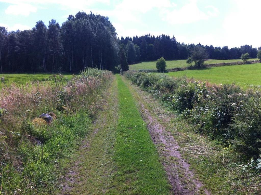 Figur 21. Naturvärdesobjekt FAGR_LINJ_05 utgörs av en trolig fägata genom området.