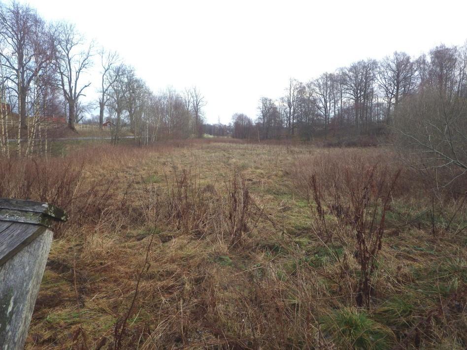 12 Område 3 0,5 ha Fuktäng (Biotopskydd) Klass 4, Visst naturvärde Området har ett visst biotopvärde knutet den öppna våta till fuktiga gräsmarken.