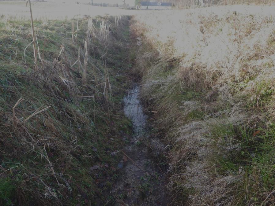 22 Område 13 0,1 ha Dike (Biotopskydd) Klass 3, Påtagligt naturvärde Området har ett visst biotopvärde knutet till den blöta marken med viss källpåverkan samt till blottad mineraljord.