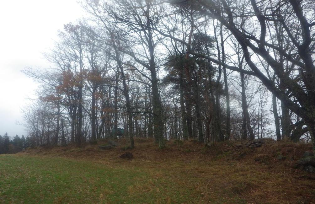 23 Område 14 0,3 ha Ekskog, Åkerholme (Biotopskydd) Klass 4, Visst naturvärde Området har ett visst biotopvärde knutet till den artrika naturtypen ängsekskog.
