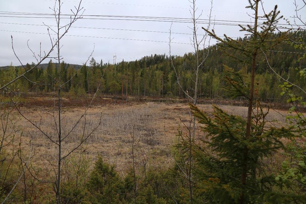 9.1 AL7 S1 Ajaure 200kV Den planerade ledningsgatan kommer efter ombyggnation att korsa den mindre tjärnen och delar av våtmarksområdet som båda bedömts hålla visst