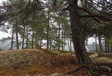 UPPDRAGSNUMMER 1157874000 NATURVÄRDESINVENTERING KÅRSTA-RICKEBY 2, VALLENTUNA KOMMUN SWECO ENVIRONMENT
