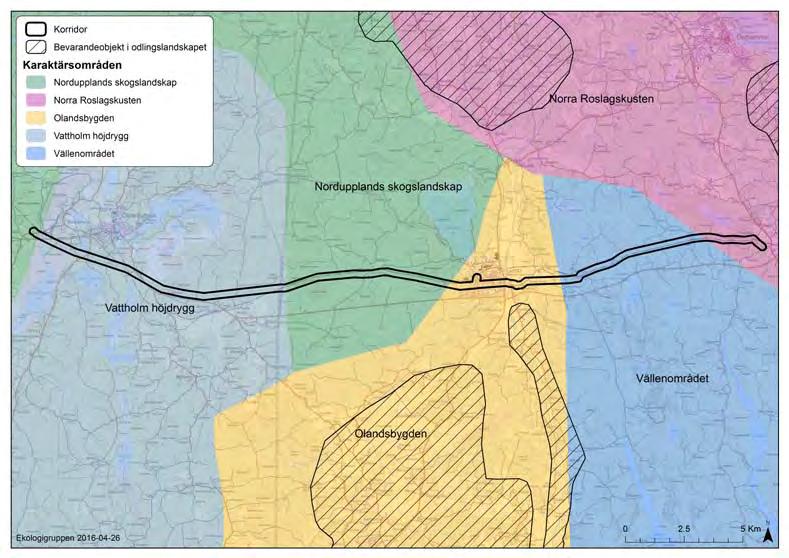 Allmän beskrivning av området Naturvärdesinventering Dannemora-Gimo-Harg Kraftledningskorridoren går genom ett varierat landskap som sträcker sig från Vattholma höjdrygg i väster, genom Nordupplands