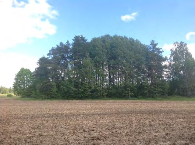 Utdrag ur Ekodatabasen 2016-08-29 Objekt: 34 Blandskog Naturvärdesklass: Påtagligt naturvärde - naturvärdesklass 3 Naturtypsgrupp: Boreal skog Naturtypsnamn: Blandskog Beskrivning: Åkerholme med