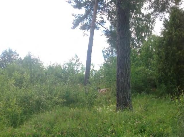 Utdrag ur Ekodatabasen