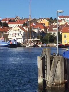 1. Deltagande i Västerhavsveckan Utställningen i Marstrand den 11 augusti 2017 Västerhavsveckan är en temavecka för havsmiljön med syfte att öka kunskapen om Västerhavets miljö som arrangeras av