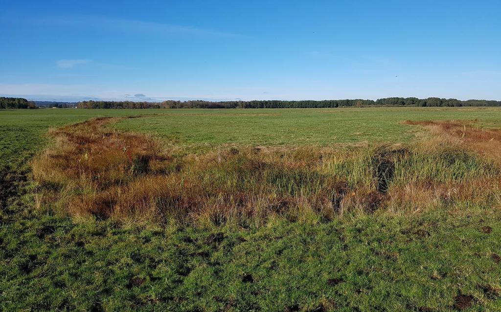 Lokaler vid Klingavälsån Från Sövdesjön i sydost ner mot Kävlingeån i nordväst, meandrar sig Klingavälsån på en 20 km lång sträcka över stora ängsmarker, och utgör den sista resten av oreglerade