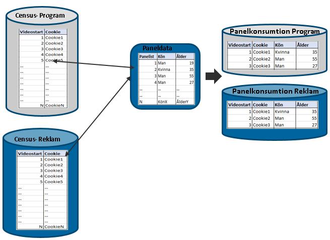 Genom panelisternas konsumtion har vi för en delmängd av trafiken i censusdata information om exempelvis kön och ålder för de individer som genererat konsumtionen.