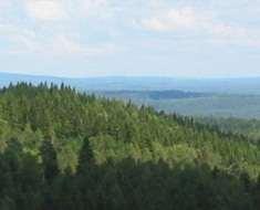 Mycket pekar även på att kväveupplagringen kommer att fortsätta i en stor del av skogsmarken i södra och mellersta Sverige, och det finns redan idag skogar i sydvästra Sverige med frekvent förhöjda
