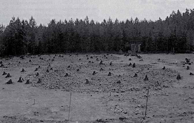 Figur 6. Vy över Högby 14 från UV:s undersökning 1992. Den stora stensättningen i förgrunden är A2458.
