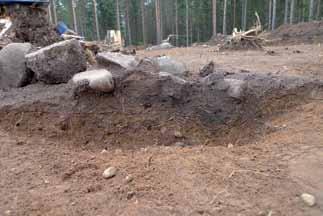 Fyllningen i övre delen av nedgrävningen innehöll enstaka skärviga stenar samt en mindre mängd kol, sot och brända ben.