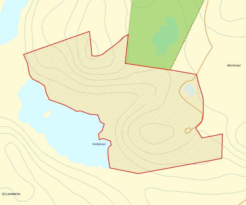 Länsstyrelsens bedömning Naturreservatet Björntjärn är ett av länets förnämsta exempel på urskogsartad skog.