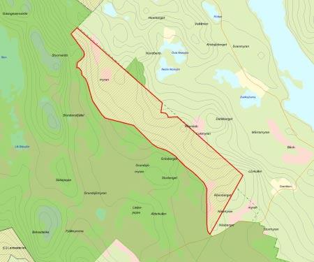 Länsstyrelsens bedömning Nästan hela Skorne-området består av värdekärnor med utpräglad naturskogskaraktär.