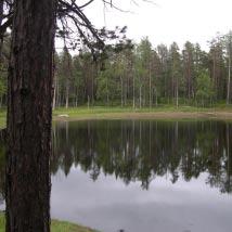 3366 Paubäcken Kommun Lycksele Totalareal 71 ha Naturgeografisk region 32c Areal land 64 ha Objektskategori U1 Areal vatten 7 ha Markägare Sveaskog Areal produktiv skogsmark 59 ha Ovanför fjällnära