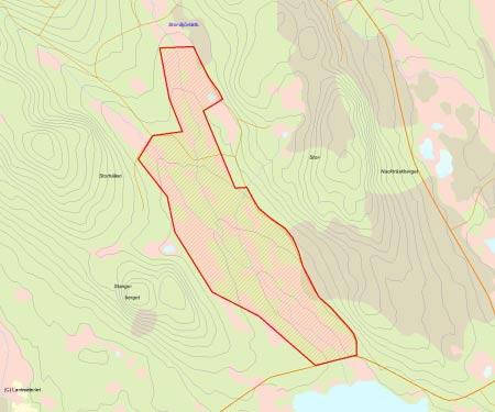Länsstyrelsens bedömning Området utgörs av en skog-myrmosaik med fina sumpskogsmiljöer längs bäckarna. Delar av bäckskogarna ingår i SVS sumpskogsinventering.