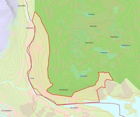 Länsstyrelsens bedömning Objektet består till stor del av två skilda skogstyper, lågproduktiv fjällgranskog i väster och högproduktiv grannaturskog i öster.