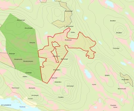 Länsstyrelsens bedömning Hela objektet är täckt med mycket värdefull naturskog, som till stora delar är urskogsartad.