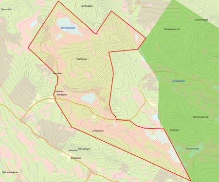 Länsstyrelsens bedömning De norra delarna av området är starkt urskogsartade granskogar med rikligt med gamla granar och död ved, medan de södra delarna har höga naturvärden knutna till den ostörda