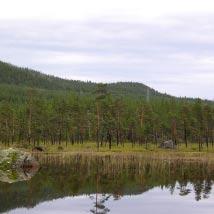 2494 Rammellandet Kommun Storuman Totalareal 180 ha Naturgeografisk region 32c Areal land 168 ha Objektskategori U1 Areal vatten 12 ha Markägare Sveaskog Areal produktiv skogsmark 96 ha Ovanför
