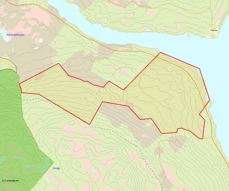 Länsstyrelsens bedömning Måsjöberget är ett större område som helt domineras av urskogartad tall- och granskog.
