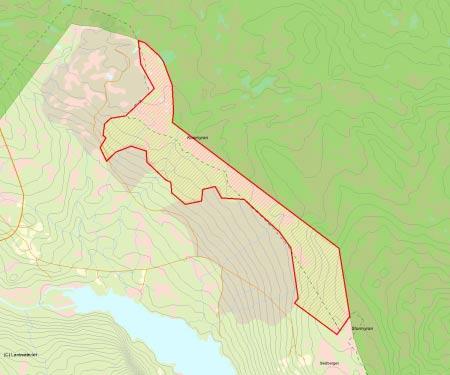 Länsstyrelsens bedömning Kusmyran har mycket höga naturvärden knutna till den genuint urskogsartade och välvuxna granskogen med rikligt med gamla, grova granar, grova torrträd och grova lågor.