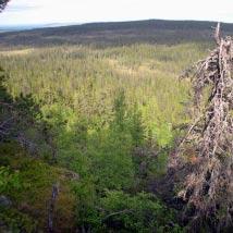3360 Svartliden-Krokliden Kommun Lycksele Totalareal 1 057 ha Naturgeografisk region 33h Areal land 1 056 ha Objektskategori U1 Areal vatten 1 ha Markägare Sveaskog Areal produktiv skogsmark 907 ha