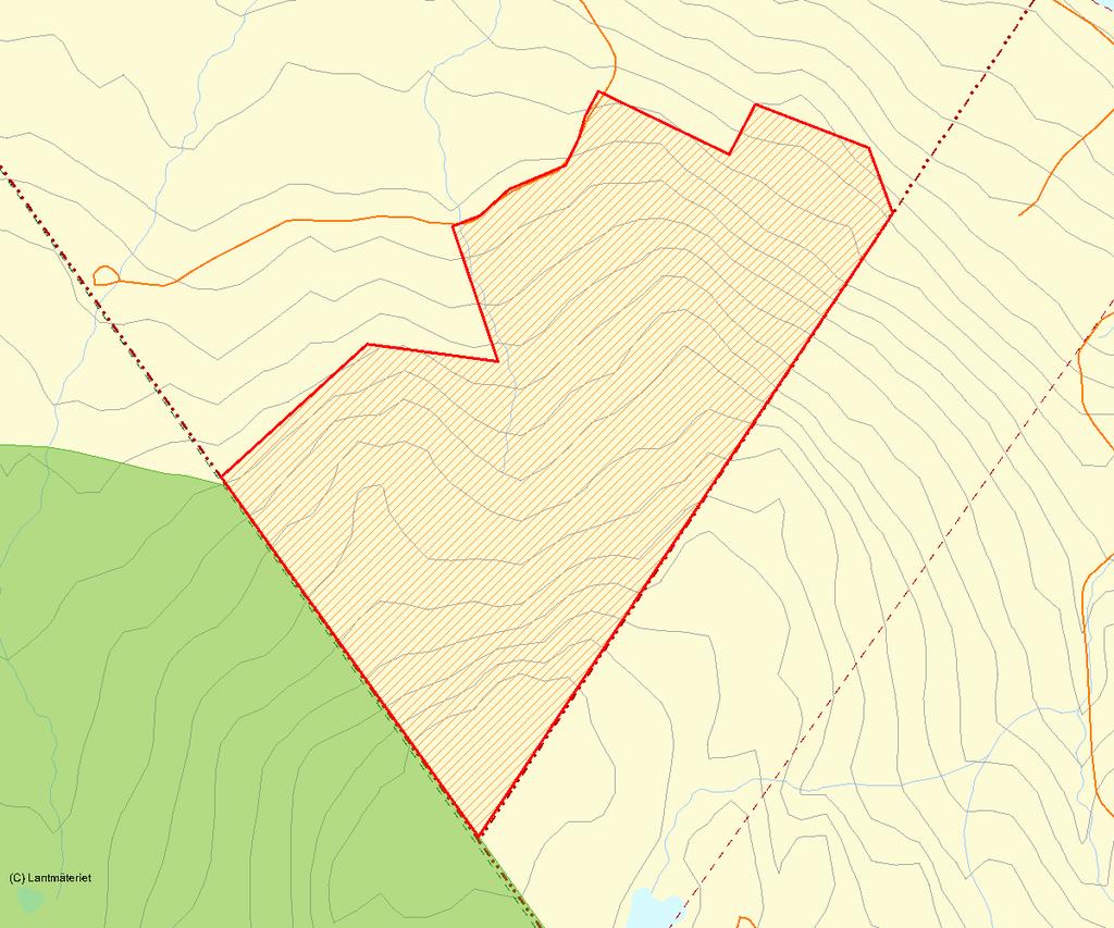 Länsstyrelsens bedömning Skikki nord är en produktiv grannaturskog i nordsluttningen i anslutning till Skikkireservatet.