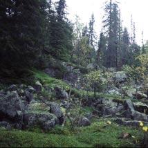 3442 Luspberget Kommun Storuman Totalareal 458 ha Naturgeografisk region 33h Areal land 456 ha Objektskategori U1 Areal vatten 3 ha Markägare Sveaskog Areal produktiv skogsmark 406 ha Ovanför