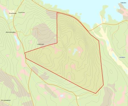 Länsstyrelsens bedömning Luspberget är ett väglöst vildmarksområde med ett genuint kärnområde med urskogsartad tall- och granskog och stora arealer äldre, måttligt påverkad barrskog med