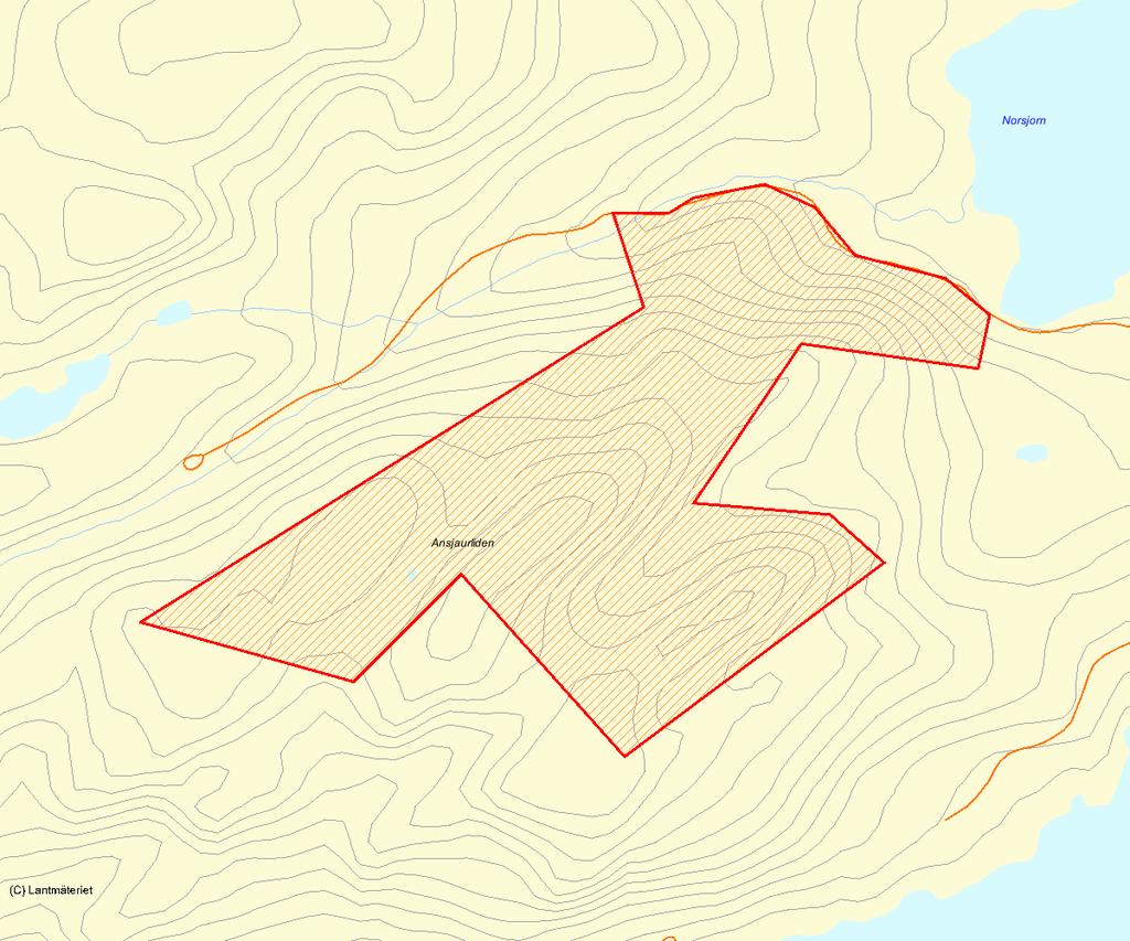 Länsstyrelsens bedömning Området är ett måttligt stort område med naturskogsartad granskog.