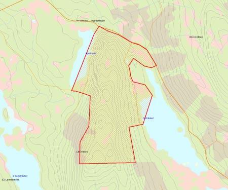 Länsstyrelsens bedömning Lill-Orrliden är ett stort och väl sammanhållet område med naturskog av lövbrännekaraktär i den södra delen och brandpräglade tallnaturskog i den norra och västra delen.