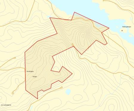 Länsstyrelsens bedömning Större område med fin tallnaturskog där de centrala delarnq har utgör en fin värdekärna med starkt urskogsartad karaktär med gamla tallöverståndare och rikligt med död ved.