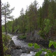 3536 Storforsberget Kommun Norsjö Totalareal 69 ha Naturgeografisk region 32c Areal land 69 ha Objektskategori U1 Areal vatten 0 ha Markägare Sveaskog Areal produktiv skogsmark 69 ha Ovanför