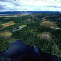 3432 Vivattnet Kommun Vilhelmina, Storuman Totalareal 1 329 ha Naturgeografisk region 33h Areal land 1 200 ha Objektskategori SM Areal vatten 129 ha Markägare Fastighetsverket Areal produktiv