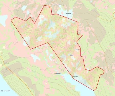 Länsstyrelsens bedömning Vivattnet är ett mycket stort myrmosaikområde med mycket liten påverkan av skogsbruk. Området är en mosaik i dubbel bemärkelse; myrmosaik och brandmosaik.