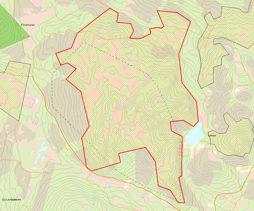 Länsstyrelsens bedömning Gaskeluoktliden är ett stort och värdefullt naturskogsområde med stora delar starkt urskogsartad höjdlägesgranskog med imponerande dimensioner och strukturer.