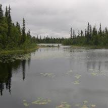 3262 Rönnberget syd Kommun Storuman Totalareal 426 ha Naturgeografisk region 33h Areal land 401 ha Objektskategori U1 Areal vatten 25 ha Markägare Sveaskog Areal produktiv skogsmark 291 ha Ovanför