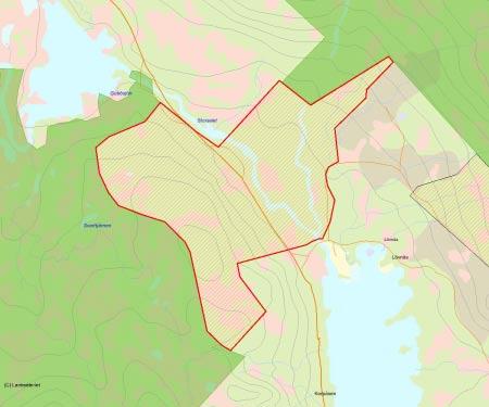 Länsstyrelsens bedömning Storselet är ett stort och fint naturskogsområde med en stor andel urskogsartad granskog.