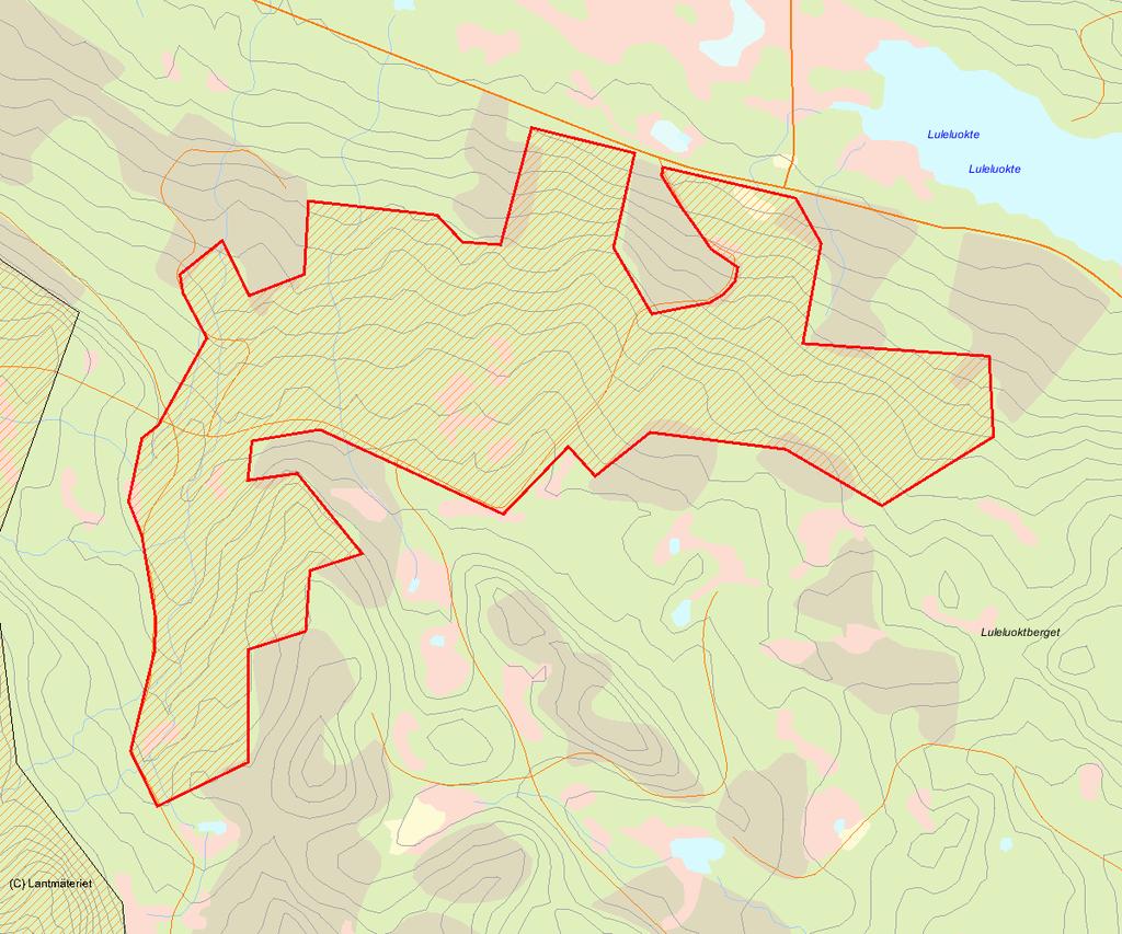 Länsstyrelsens bedömning Luleluoktberget är ett stort och mycket fint naturskogsområde med både gran- och talldominerade skogstyper. Området har mycket höga naturvärden p.g.a. orördhet, stort inslag av grova och gamla träd, rikligt med död ved och häftiga bäckmiljöer.