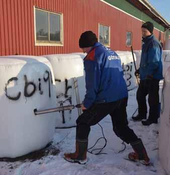 Vallfoderkvalitetens betydelse för tackor och lamm Syftet med försöket var att belysa vikten av ensilagets skördetidpunkt inom lammproduktionen.