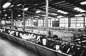 Forskning under 1900-talet 60-talet Hetluftstorkat foder var ett hett debattämne under dessa år.
